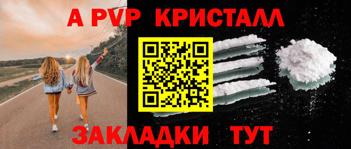 Alfa_PVP СК Дмитров