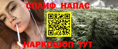 гашик Кунгур