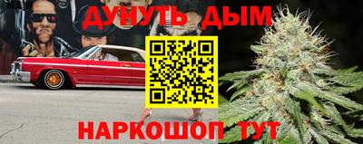 гашик Кунгур