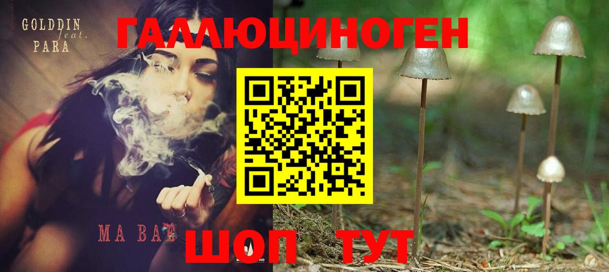 Псилоцибиновые грибы мухоморы  Вход с VPN  Дмитров  Галлюциногенные грибы мухоморы 